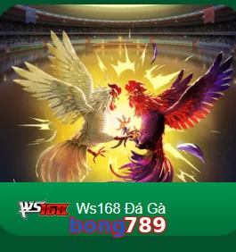 bong789